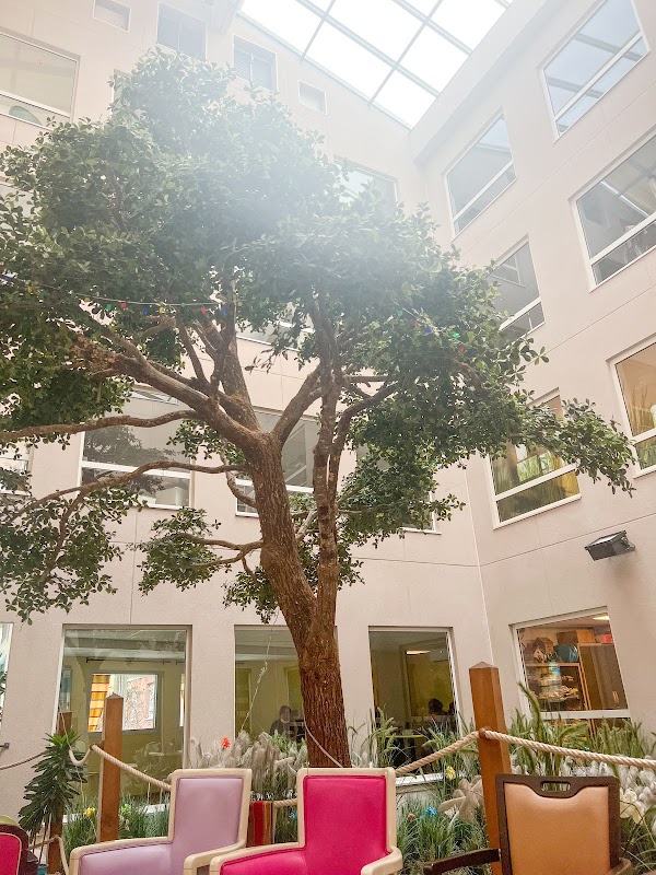 La Maison des Glycines - Photo 2 sur 5 - Intérieur et espaces communs