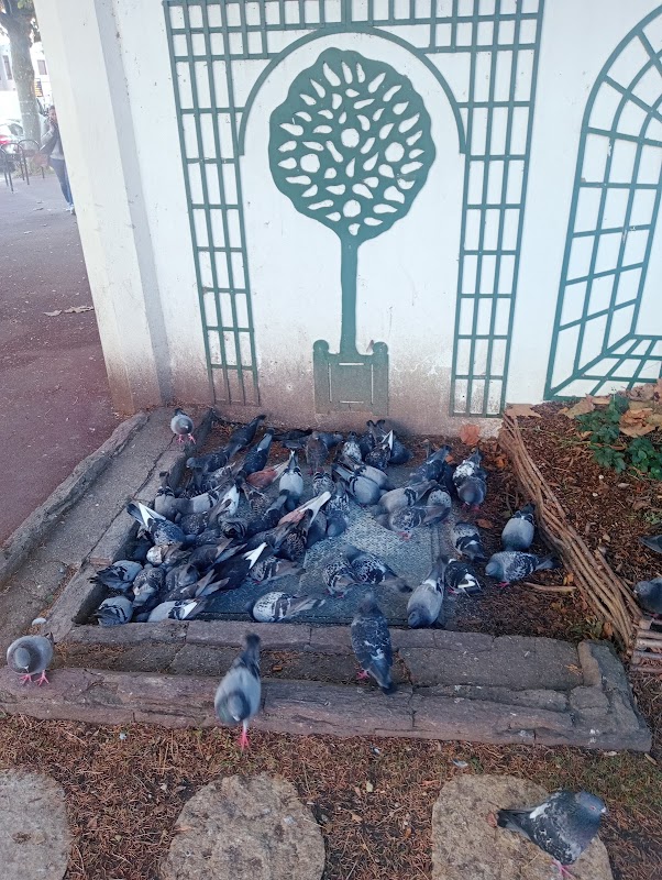 EHPAD La Cerisaie - Photo 2 sur 2 - Intérieur et espaces communs