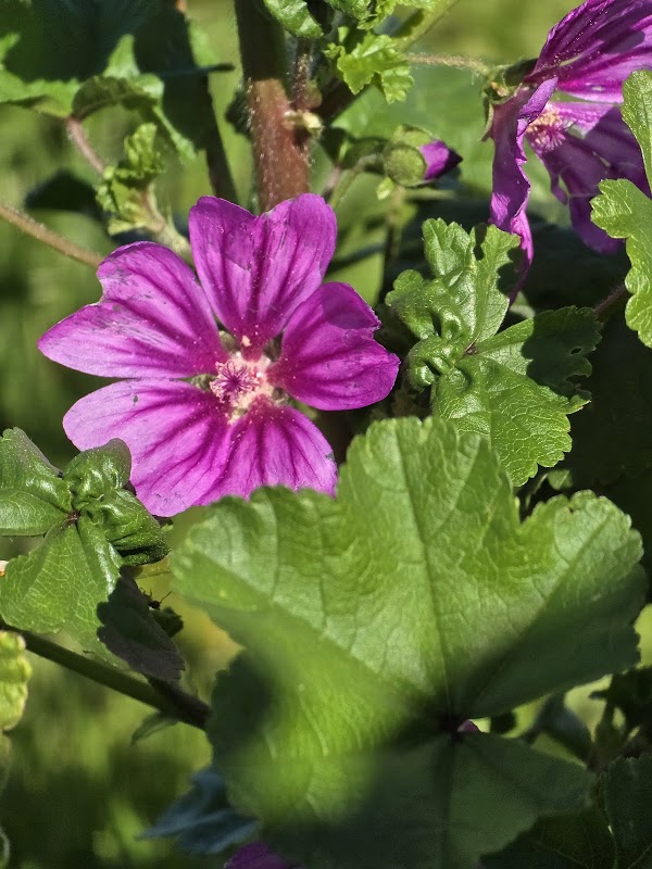 Centre d'accueil de jour autonome les Tournesols - Photo 3 sur 5 - Chambres et hébergement
